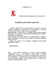 Cercetare de piață - Kaufland - Pagina 3