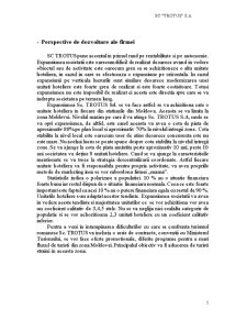 Plan de afaceri - SC Trotuș SA - Pagina 5