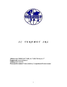 Managementul Strategic al Resurselor Umane - SC Teramet SRL - Pagina 2