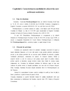 Reflectarea aspectelor financiare ale guvernanței corporatiste la Petrol Import Export SA București - Pagina 3