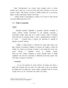 Reflectarea aspectelor financiare ale guvernanței corporatiste la Petrol Import Export SA București - Pagina 4