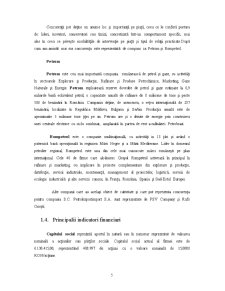 Reflectarea aspectelor financiare ale guvernanței corporatiste la Petrol Import Export SA București - Pagina 5