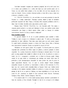Internaționalizarea firmei Vincon Vrancea SA - Pagina 4