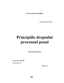 Principiile Dreptului Procesual Penal - Pagina 1