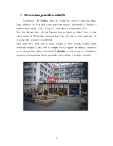 Prezentarea și promovarea unei unități de alimentație publică din Iași - Restaurantul Il Giardino - Pagina 3