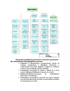 Managementul instituțiilor publice - Primăria Municipiului București - Pagina 5