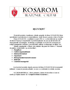 Studiu de Caz - SC Kosarom SA - Pagina 2
