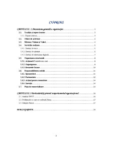 Comportament Organizațional - Romtelecom - Pagina 2