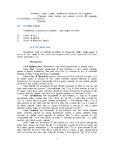 Comportament Organizațional - Romtelecom - Pagina 5