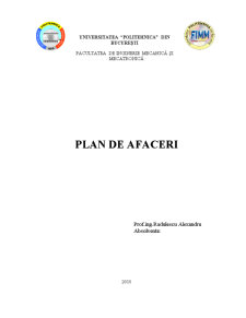 Plan de afaceri - SC Steaua Electrică SA Fieni - Pagina 1