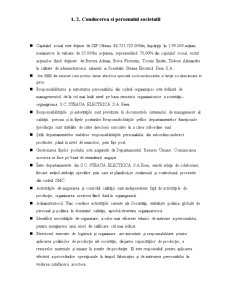 Plan de afaceri - SC Steaua Electrică SA Fieni - Pagina 4