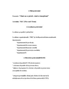 Managementul Proiectelor - Nice and Clean - Pagina 2