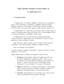 Studiu de Caz al Firmei SC Agatha Impex SRL - Pagina 2