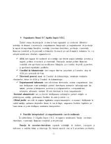 Studiu de Caz al Firmei SC Agatha Impex SRL - Pagina 3