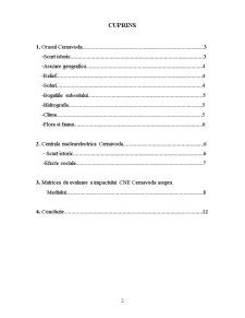 Studiul de impact asupra mediului - Centrala Nucleară Electrică Cernavodă - Pagina 2