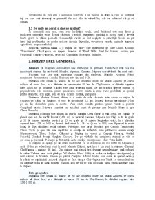 Dezvoltare durabilă Comuna Băișoara - Pagina 2