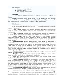 Dezvoltare durabilă Comuna Băișoara - Pagina 3