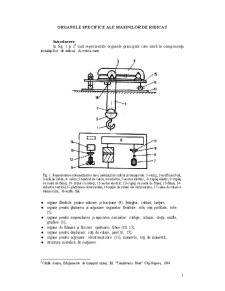 Organele specifice ale mașinilor de ridicat - Pagina 1
