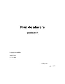 Plan de Afacere - Proiect SPA - Pagina 1