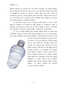 Internaționalizarea firmei Aqualife - Pagina 4