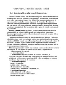 Monografie contabilă privind activitatea desfășurată de firma SC Silvia SRL având ca obiect de activitate comerțul mixt - Pagina 5