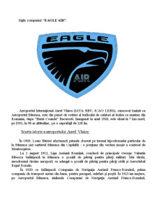 Studiu de fezabilitate pentru înființarea companiei de tip low-cost Eagle Air - Pagina 4