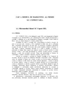 Mediul de Marketing al Firmei SC Coprot SRL - Pagina 3