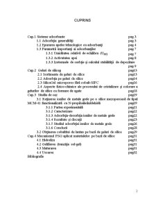 Sisteme Adsorbante - Geluri de Silice - Pagina 2
