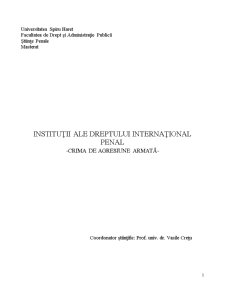 Instituții ale Dreptului Internațional Penal - Pagina 1