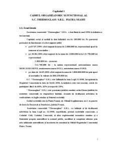 Fundamentarea si Realizarea Veniturilor Bugetare pentru Exemplul - SC Thermoglass SRL Piatra Neamt - Pagina 3