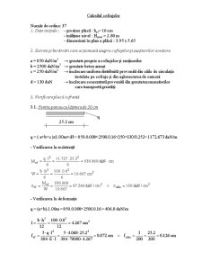 Calcul Cofraje - Pagina 1