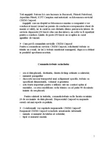Audit - SC Petrom SA - Pagina 5