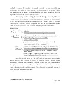 Suport Curs Audit Intern - Pagina 5