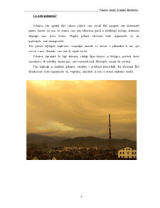 Poluarea Aerului în Județul Maramureș - Pagina 4