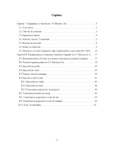 Monografie fiscal-bugetară privind fundamentarea și realizarea veniturilor bugetare pe exemplu SC Electrica SA - Pagina 2