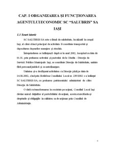 Fundamentarea și Realizarea Veniturilor Bugetare la Agentul Economic SC Salubris SA - Pagina 4