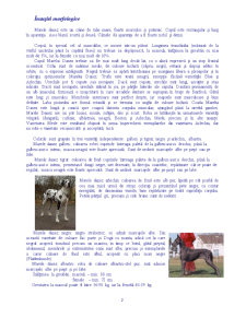 Rase de câini - Marele Danez - Pagina 2