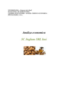 Analiza economică SC Juglans SRL Iași - Pagina 1