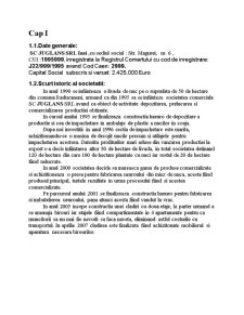 Analiza economică SC Juglans SRL Iași - Pagina 3
