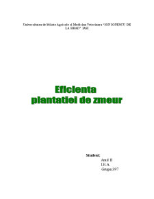 Eficiența plantației de zmeur - Pagina 1