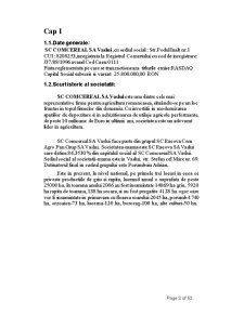 Analiza tehnico-economică SC Comcereal SA - Pagina 3