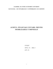 Auditul financiar privind imobilizările corporale - Pagina 1
