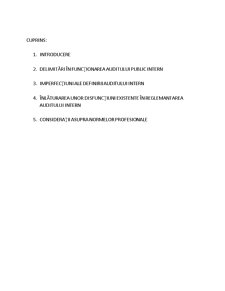 Auditul Intern și Managementul - Pagina 2