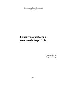 Market Structure - Perfect and Imperfect Competition - Pagina 1