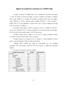 Raport de Analiza - SC Lemet SRL - Pagina 2