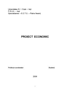 Proiect economic - târgu Neamț - Pagina 1