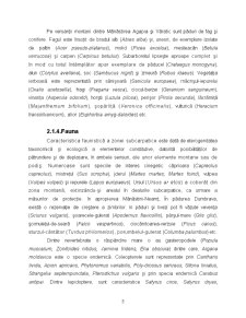 Proiect economic - târgu Neamț - Pagina 5