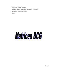 Matricea BCG - Pagina 1