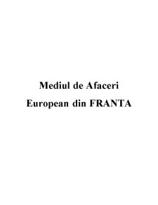 Mediu de afaceri european în Franța - Pagina 3