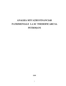 Analiza Situației Financiar Patrimoniale la SC Termoficare SA Petroșani - Pagina 1